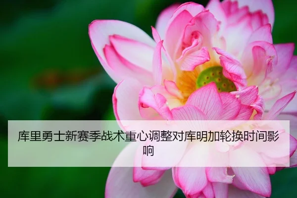库里勇士新赛季战术重心调整对库明加轮换时间影响
