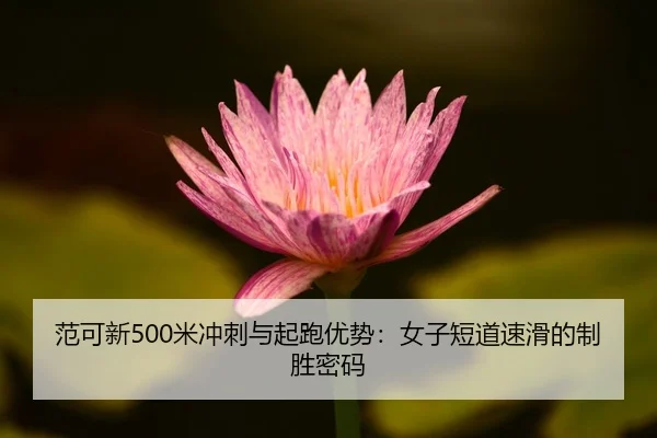 范可新500米冲刺与起跑优势：女子短道速滑的制胜密码