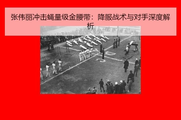 zhang-wei-li-chong-ji-ying-liang-ji-jin-yao-dai-xiang-fu-zhan-shu-yu-dui-shou-shen-du-jie-xi-3-962.jpg