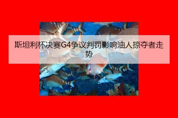 si-tan-li-bei-jue-sai-zheng-yi-pan-fa-ying-xiang-you-ren-lve-duo-zhe-zou-shi-3-275.jpg