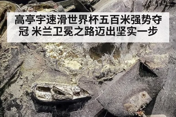 高亭宇速滑世界杯五百米强势夺冠 米兰卫冕之路迈出坚实一步